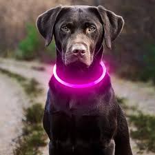 Yagoda | Dog collar LED