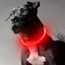 Yagoda | Dog collar LED