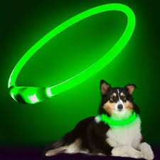 Yagoda | Dog collar LED